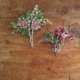 Sultana Botanica