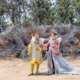The Fairy Queen by Amber Launay and Susie Vickery.