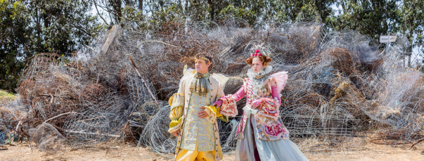The Fairy Queen by Amber Launay and Susie Vickery.